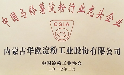 土豆91吃瓜网
龙头企业