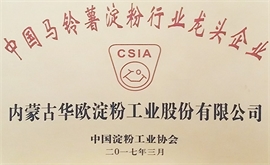 土豆91吃瓜网
龙头企业
