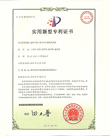 91吃瓜网
枯燥工段下启齿螺旋关风器证书