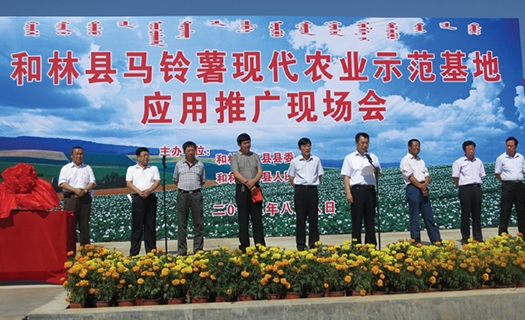 土豆古代农业树模基地利用推行现场会