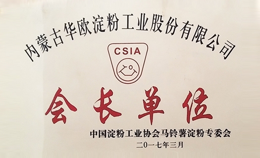 2017会长单元