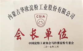 2017会长单元