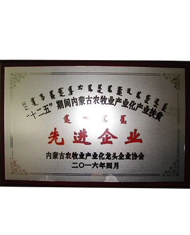 进步前辈企业