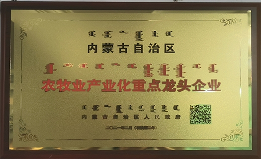 自治区农牧业财产化重点龙头企业
